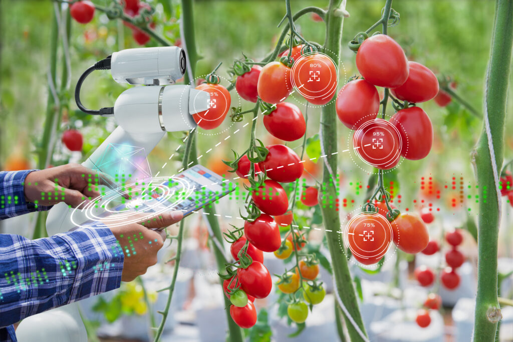 Società Agricole Dopo La Riforma Dell’irpef: Tassazione Ordinaria O Catastale?