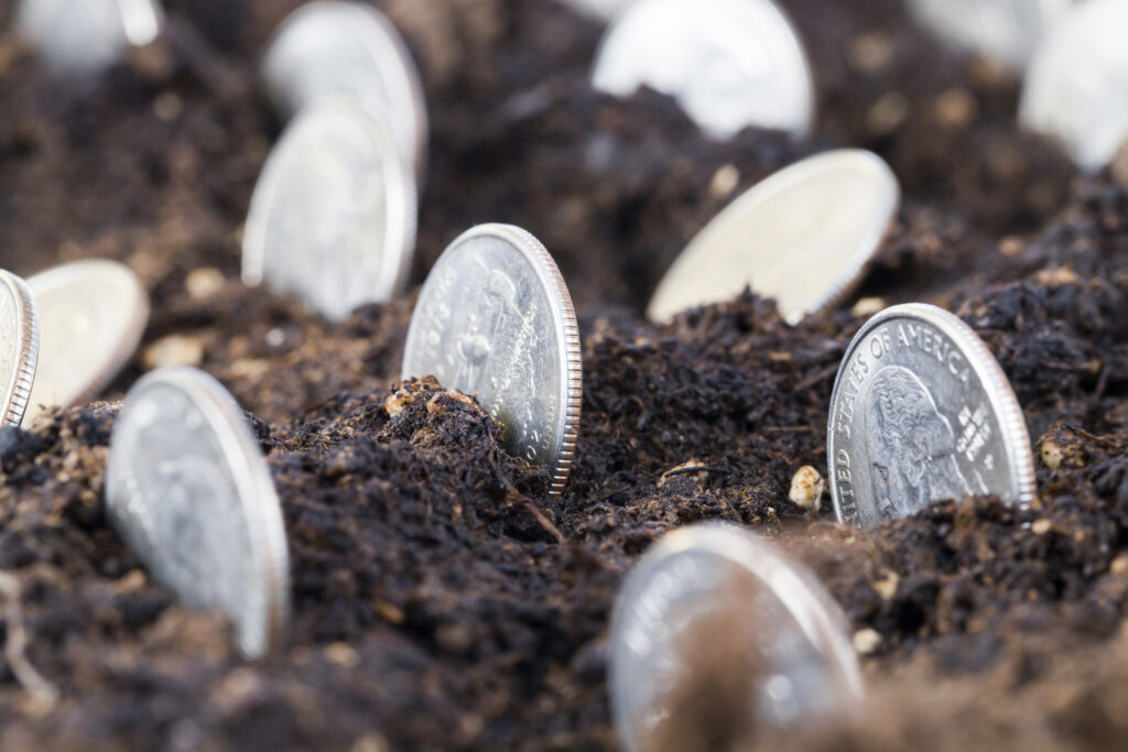 Terreni Di Coltivatori Diretti E Iap: La Nuova Detassazione Entra Nei Dichiarativi 2025
