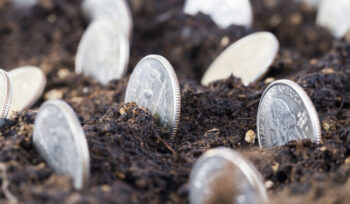 Terreni Di Coltivatori Diretti E Iap: La Nuova Detassazione Entra Nei Dichiarativi 2025